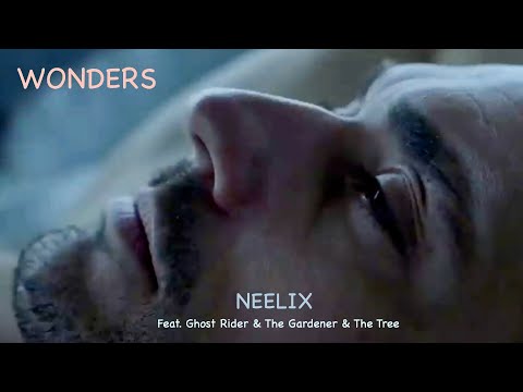 Wonders - Neelix (Feat.  Ghost Rider & The Gardener & The Tree)