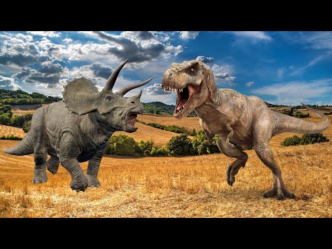 Triceratops Vs T-rex | @rrworld6506