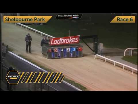 Newinn Session - The Con & Anne Kirby Trial Stake 525