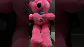 #TeddyBear #টেডি_বেয়ার #টেডি_বিডিও #YouTubeShorts