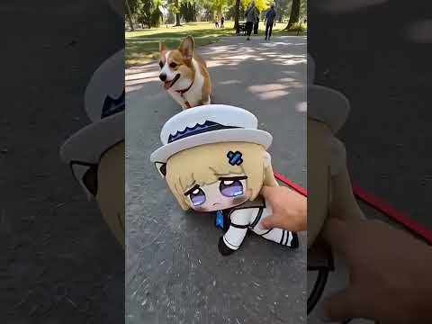 Phoebe's First Dog-Walking Experience.🐕️ #wuwacreator #wutheringwaves #wuwa #phoebe #lyra