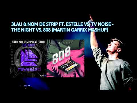 The Night vs. 808 (Martin Garrix Mashup)