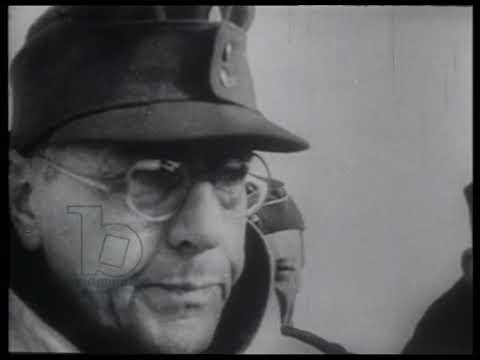 Surrender at Stalingrad, 1942/1943