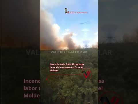Incendio en la Ruta 47: Intensa labor de bomberos en Coronel Moldes