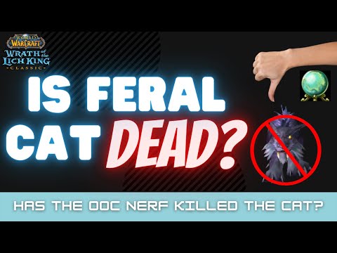 Why are all the Doomers going after Feral Cat? - Wrath Classic