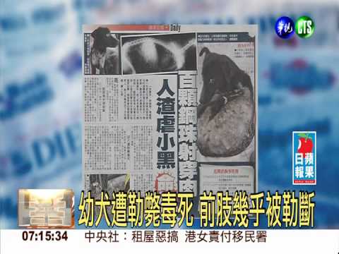 百顆鋼珠射穿肉 人渣虐小黑