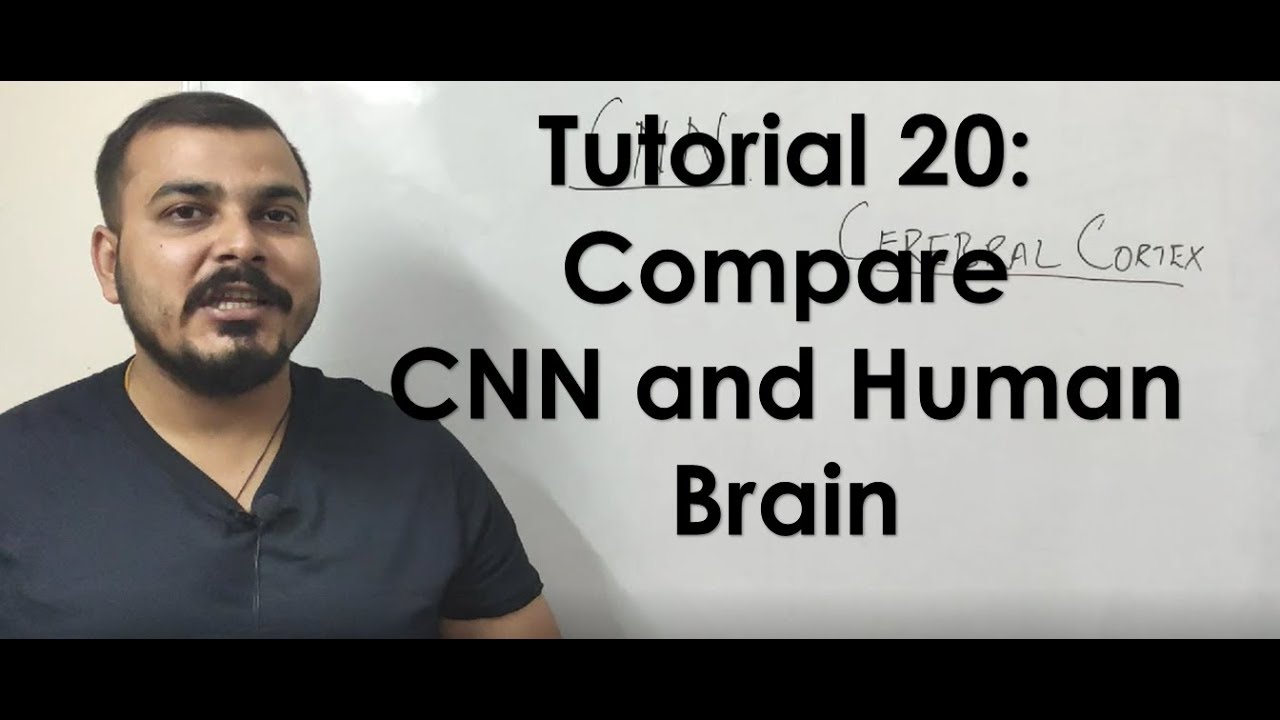 Tutorial 20- Convolution Neural Network vs Human Brain