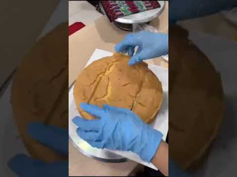 cake tiktokfoodie, |BEST FOOD OF INDIA J E E N A#shorts