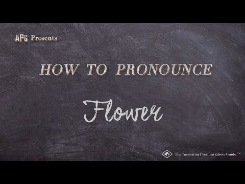 How to Pronounce Flower (Real Life Examples!)