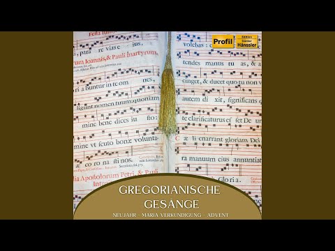 Hochfest der Gottesmutter Maria - Proprium Missae: Alleluia mit Vers - Specie tua