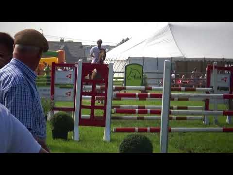 Malakeh vd Maltahoeve