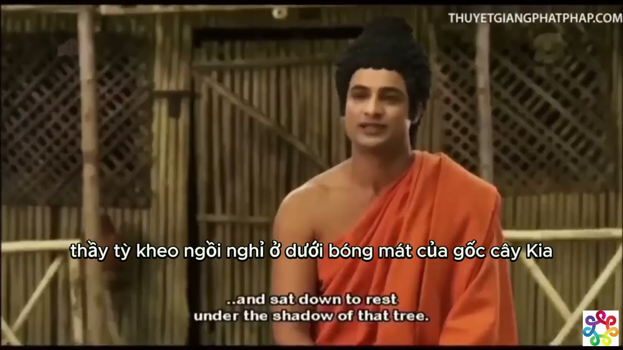 Từ Bi Và Chiến Tranh