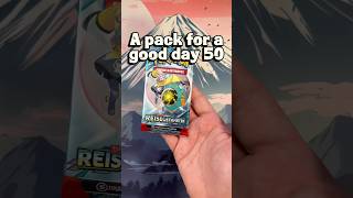Pokémon Reisegefährten | OMG so cute 😍 | AP4GD 50