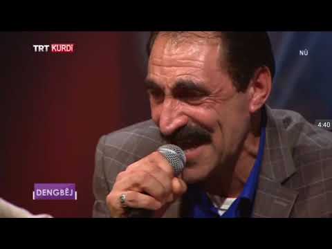 DENGBEJ  heqqe. Ayle domamê