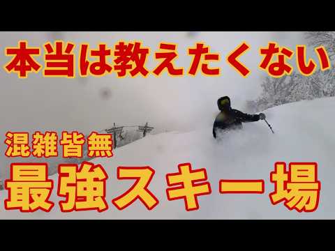 Video: 【本当は教えたくない】年末年始の混雑皆無＆無限パウダーの超穴場スキー場【降雪80cm】神立＆湯沢パークゲレンデレポート 2024/12/28
