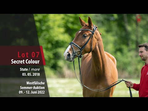 Sommer-Auktion Lot 07 Secret Colour Stute v. Secret - Fidermark