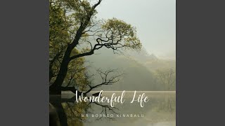 Download lagu Wonderful Life mp3