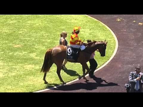 Ascot, 27/02/2016 - Race 1 - ELLENS CHOICE - David Harrison & Patrick Carbery