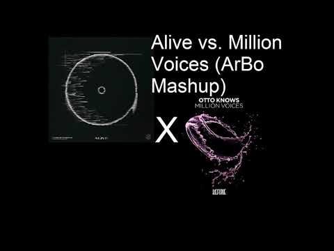 Ytram, Citadelle, Martin Garrix vs. Otto Knows - Alive vs. Million Voices (ArBo Mashup)