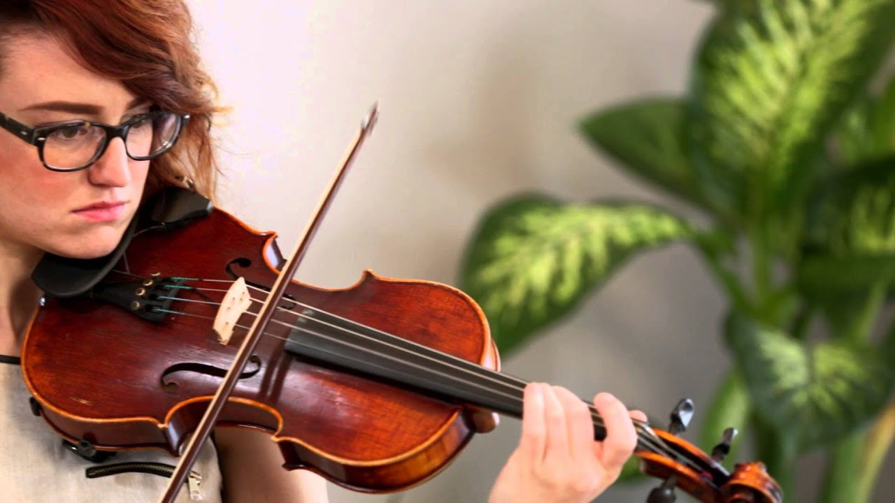 Promotional video thumbnail 4 for Petals String Duo
