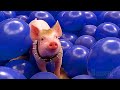 Babe Pig In The City Full Ending 4K