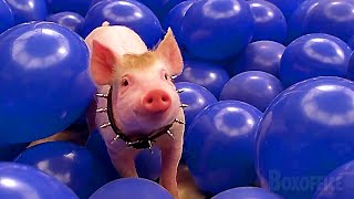 Download lagu Babe: Pig In The City Full Ending 🌀 4K mp3