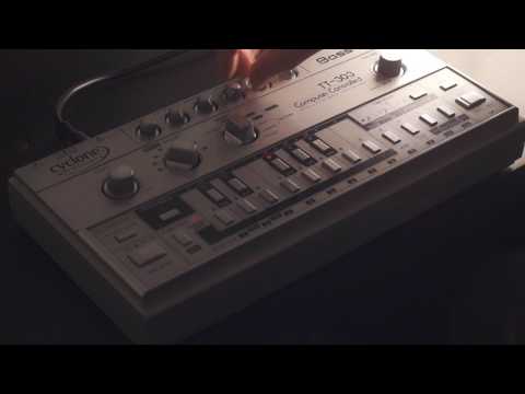 303 Day (Bassbot TT-303 Demo)