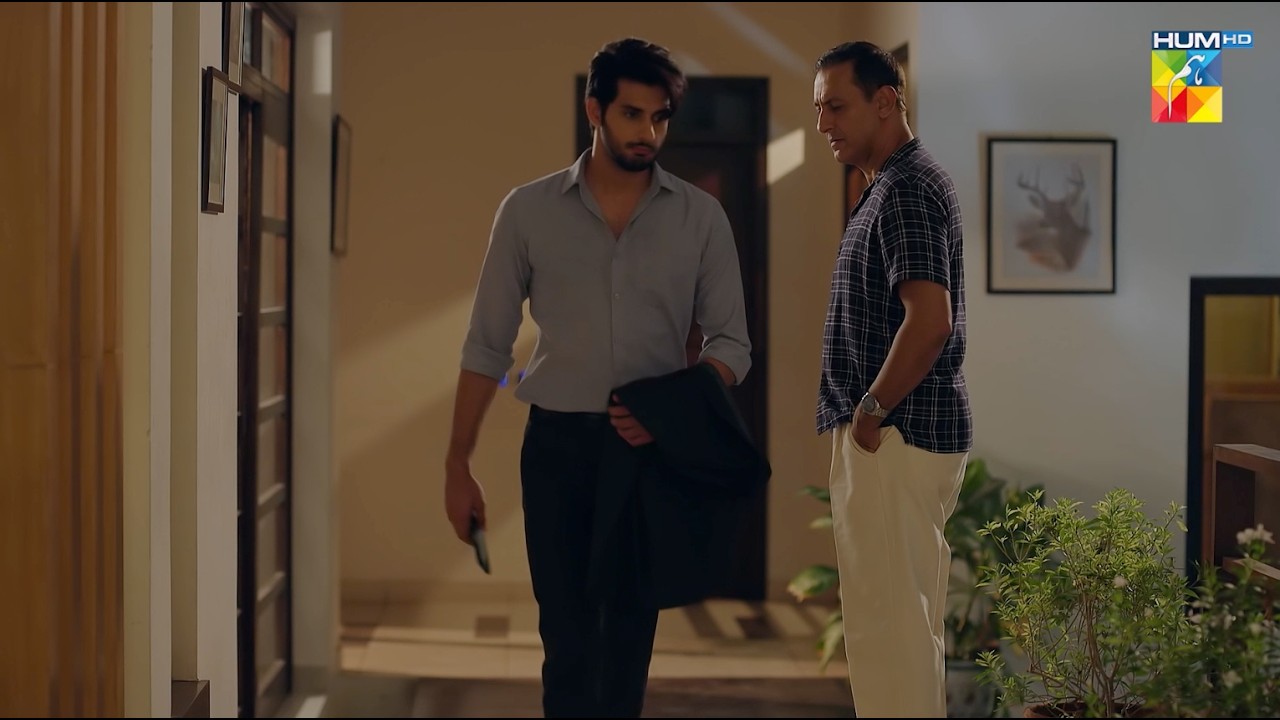 Ye Kis Musibat Mein Phans Gaya Hun...! Naraz Hai Zindagi - HUM TV