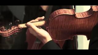 My Braveheart Will Go On - A James Horner Medley