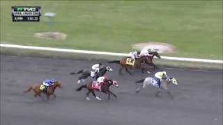 RACE REPLAY: 2017 Spiral Stakes Featuring Fast and Accurate