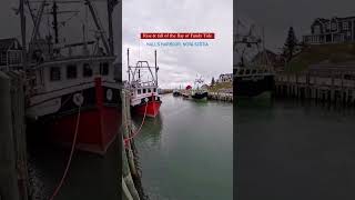 The Bay of Fundy has the highest tides in the world | Nova Scotia