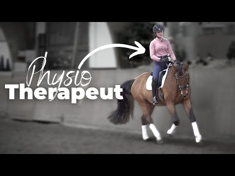 ✨So löst Du Dein Pferd richtig!✨| Eine abwechslungsreiche Aufwärmphase gestalten 🐴