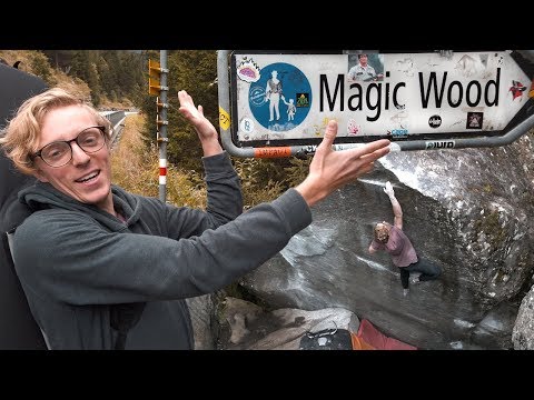 Louis Cuts Loose In Magic Wood