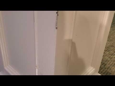 Leaky Sink Invites Odorous House Ants in Jackson, NJ