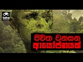 balumgala-06-02-2017