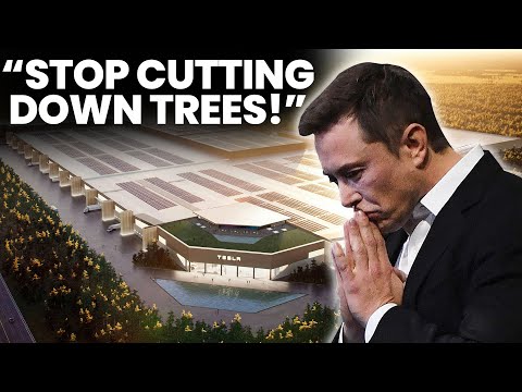 Why Tesla's $7 Billion German Gigafactory Isn't Going Great