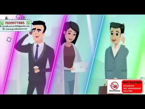 Silverfish Pest Control Service