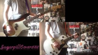 Blink 182 - 21 Days Guitar / Bass Cover