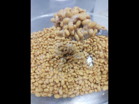 Aprenda e Faça Agora Receita Culinária da Cozinha Vegana - Nattô Soja Fermentada Rica em Vitamina K2