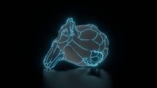 Sketchy Wireframe Effect video thumbnail