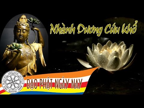 Nhành dương cứu khổ - Quang Lê