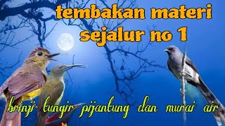 Download lagu Tembakan materi sejalur no 1❗ brinji tungir pijantung dan murai air 🔥🔥 mp3