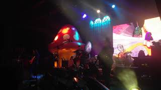 Pure Imagination- Primus-Las Vegas 2015