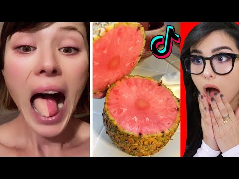 Cool Things You've Never Seen Before On TikTok