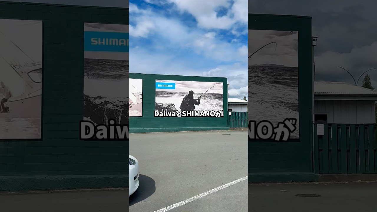 NZの釣具屋、自由すぎてツッコミが止まらない #shorts