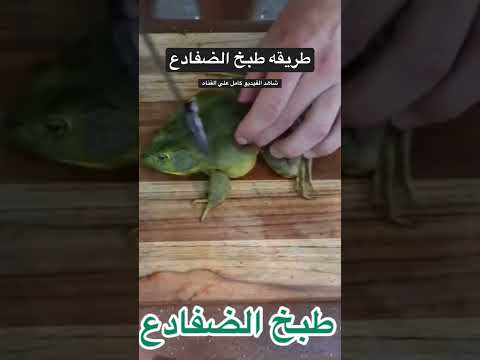 , title : 'طريقه طبخ الضفادع-Frog Dish'