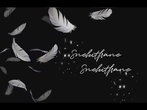 Snehithane Cover | Alaipayuthey