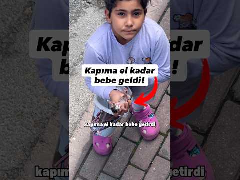 Gün geçmiyor ki zorda kalan bir hayvan için kapım çalınmasın😆