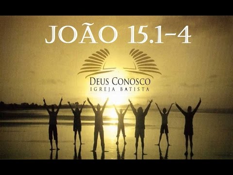 IBDC - Ramos Produtivos