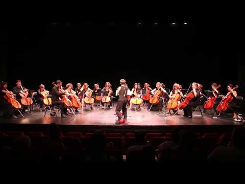 12- Danza de cortesia RVM Q24